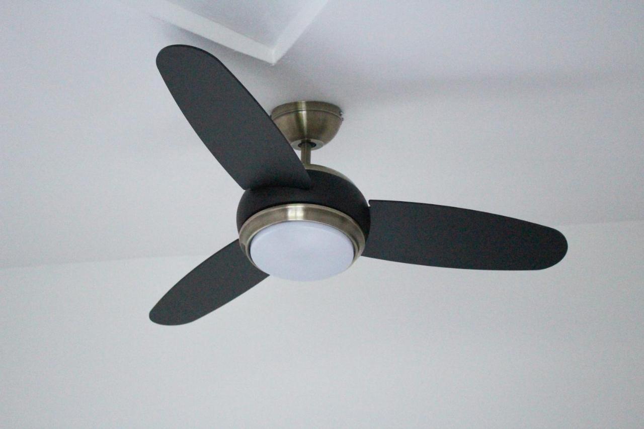 La Suite Dell'Artista Swimming Pool And Air Conditioning Stresa Esterno foto